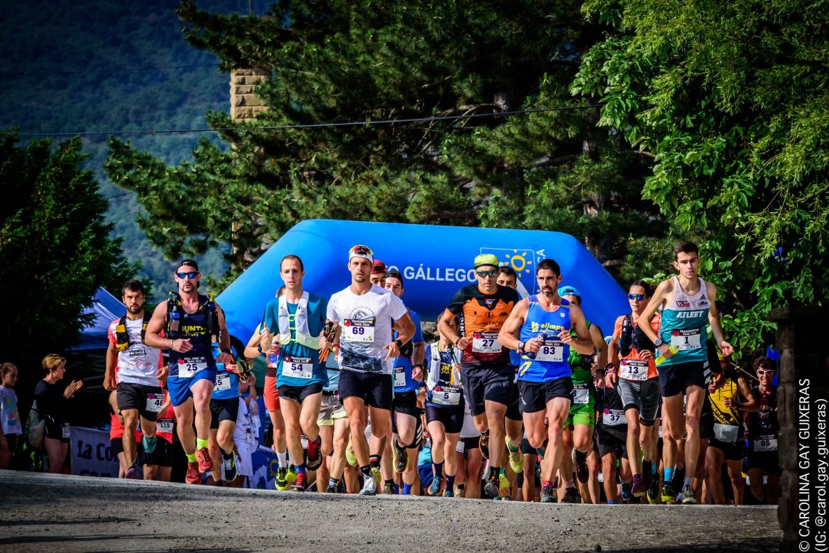 carolina.gay@hotmail.com